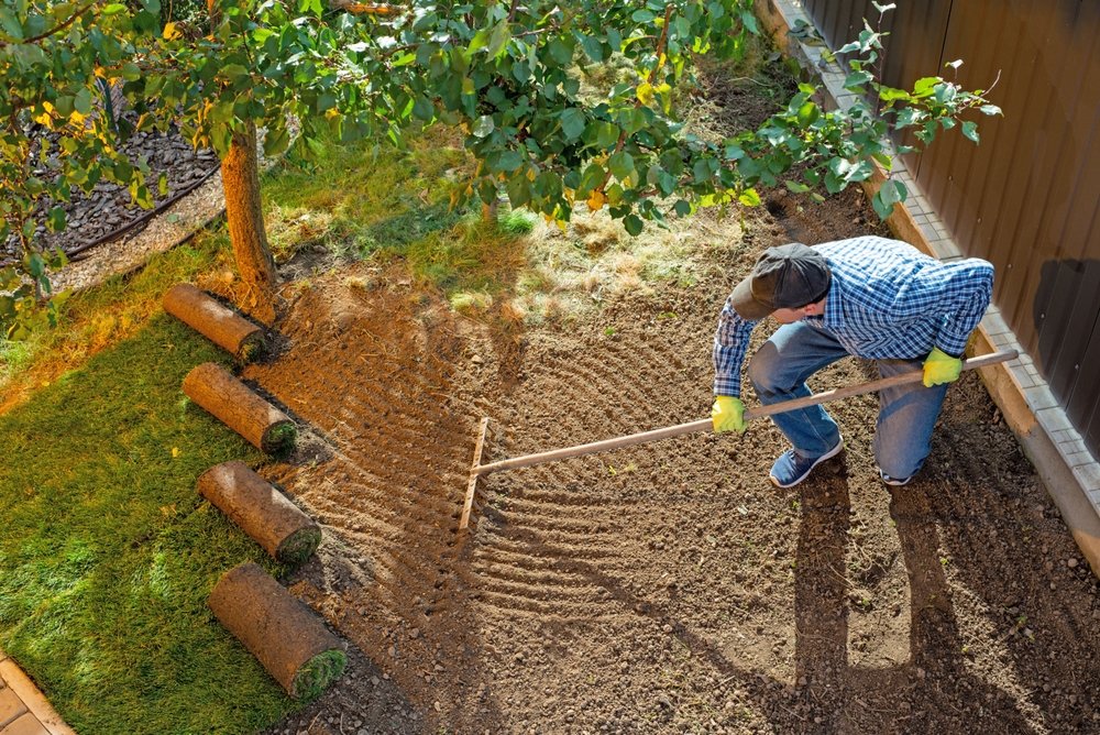 De beste graszoden koop je nu eenvoudig online