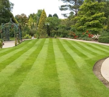 Hoe snel en eenvoudig uw tuin transformeren met grasmatten