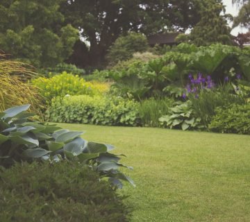 Zo maak jij je tuin klaar voor het voorjaar